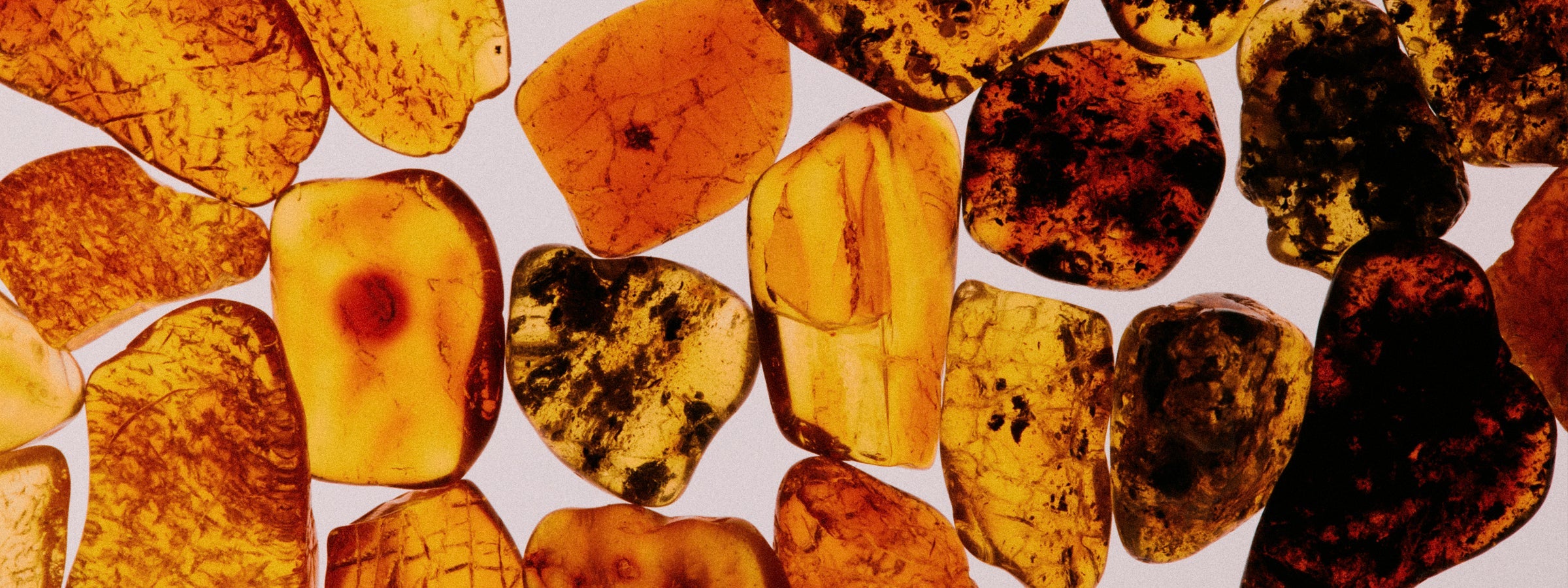 Amber Collection