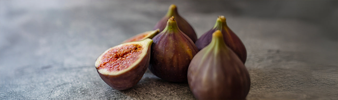 Wild Fig